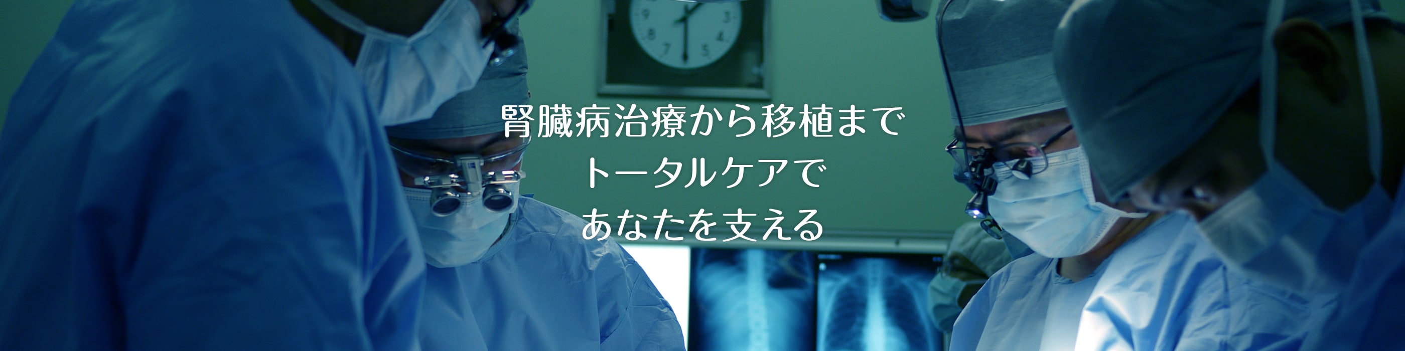 腎臓病治療から移植まで、トータルケアであなたを支える